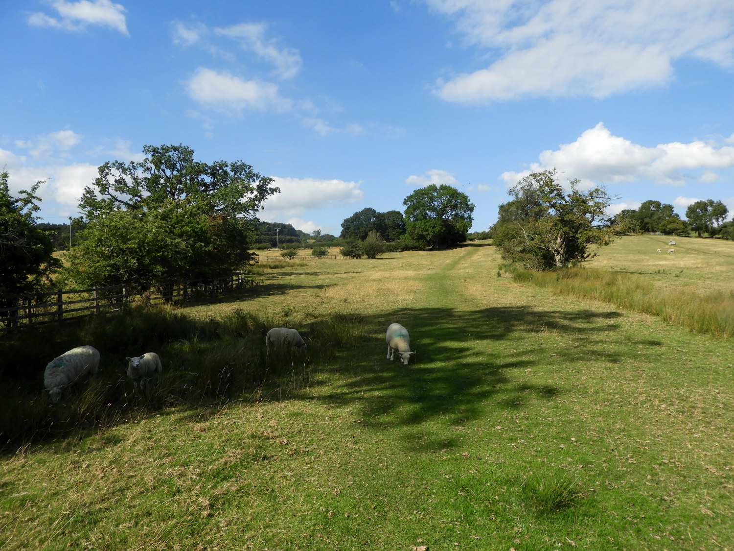 The path to Askwith