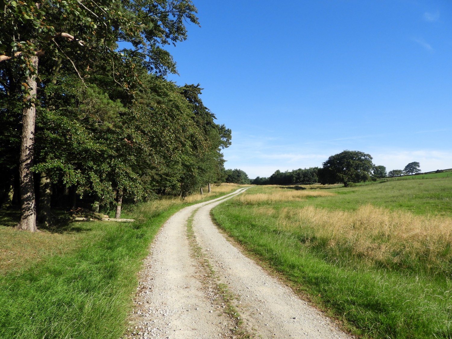 Following the climb from Hall Lane