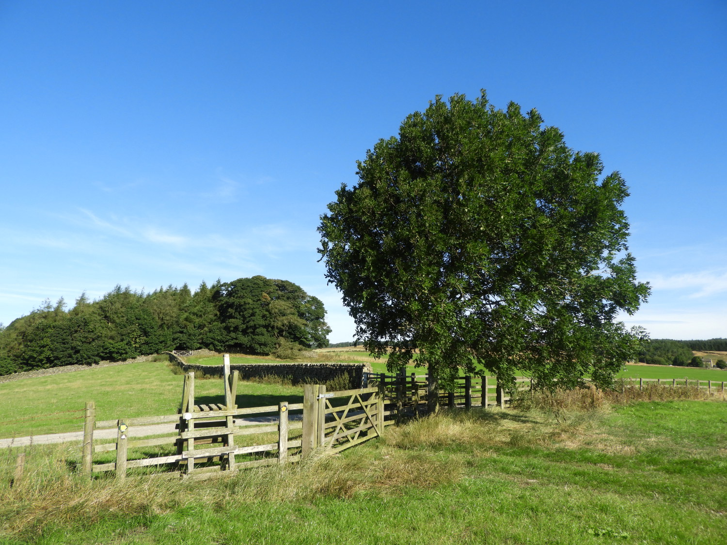 Approaching Pinder's Plantation