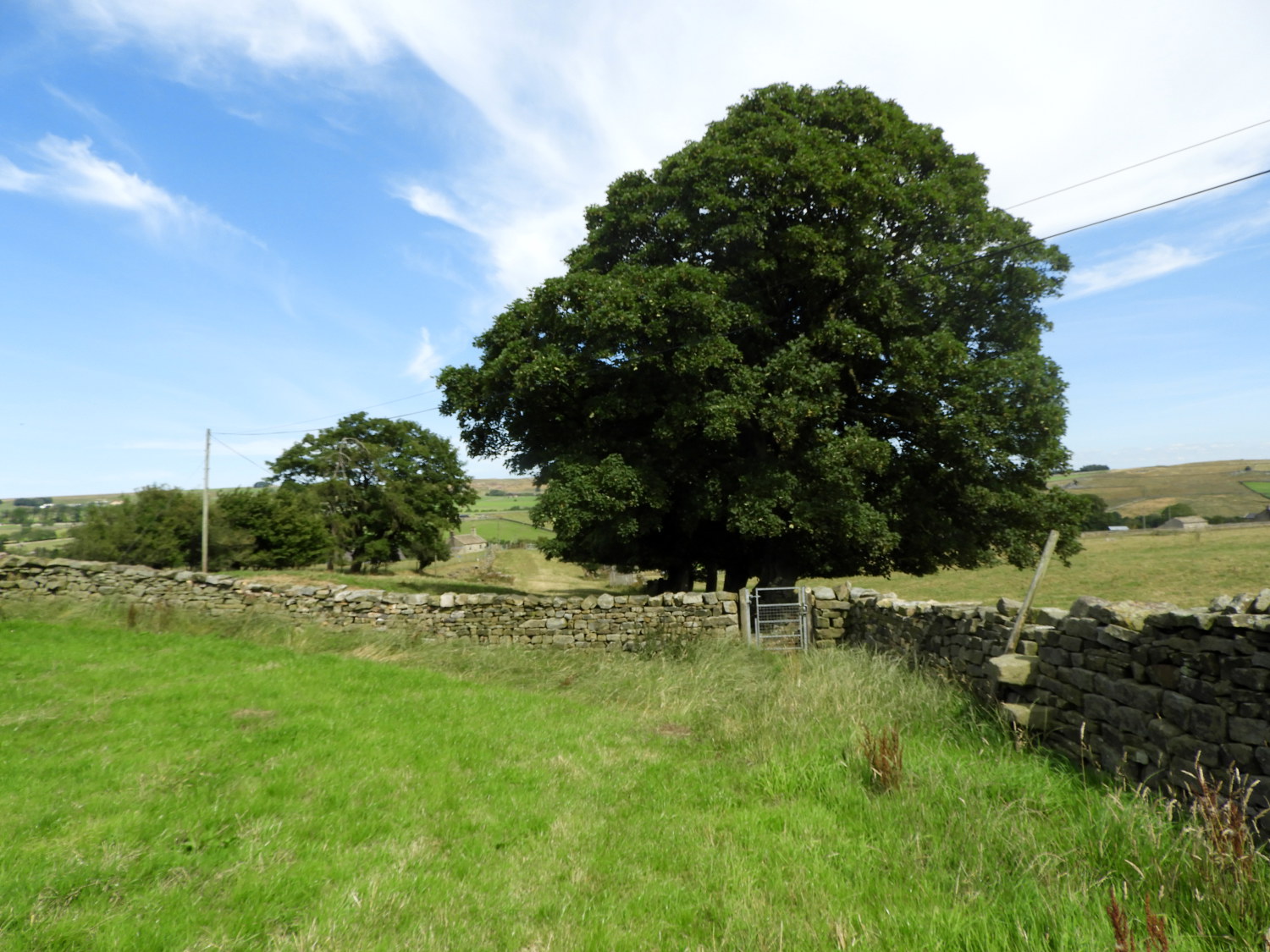 Through the fields to Padside Green