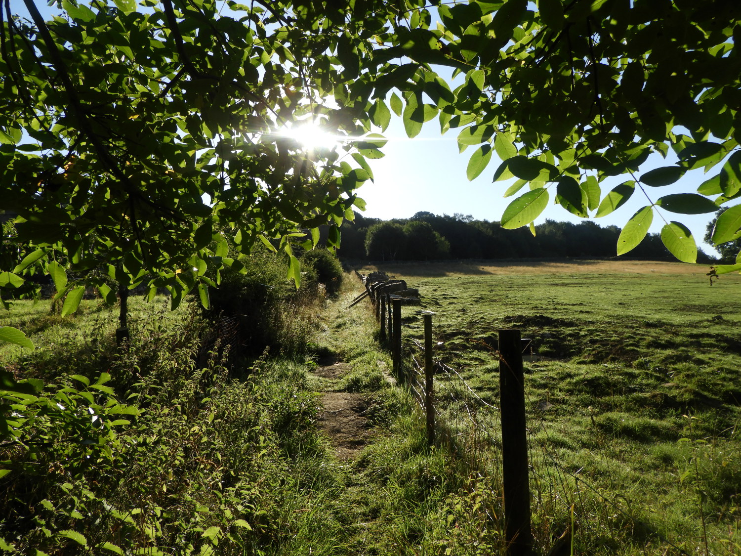 Climbing to High Wood