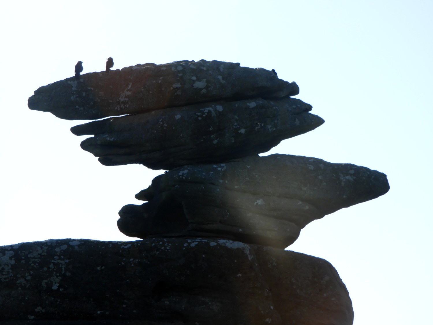 Early birds on Brimham Rocks