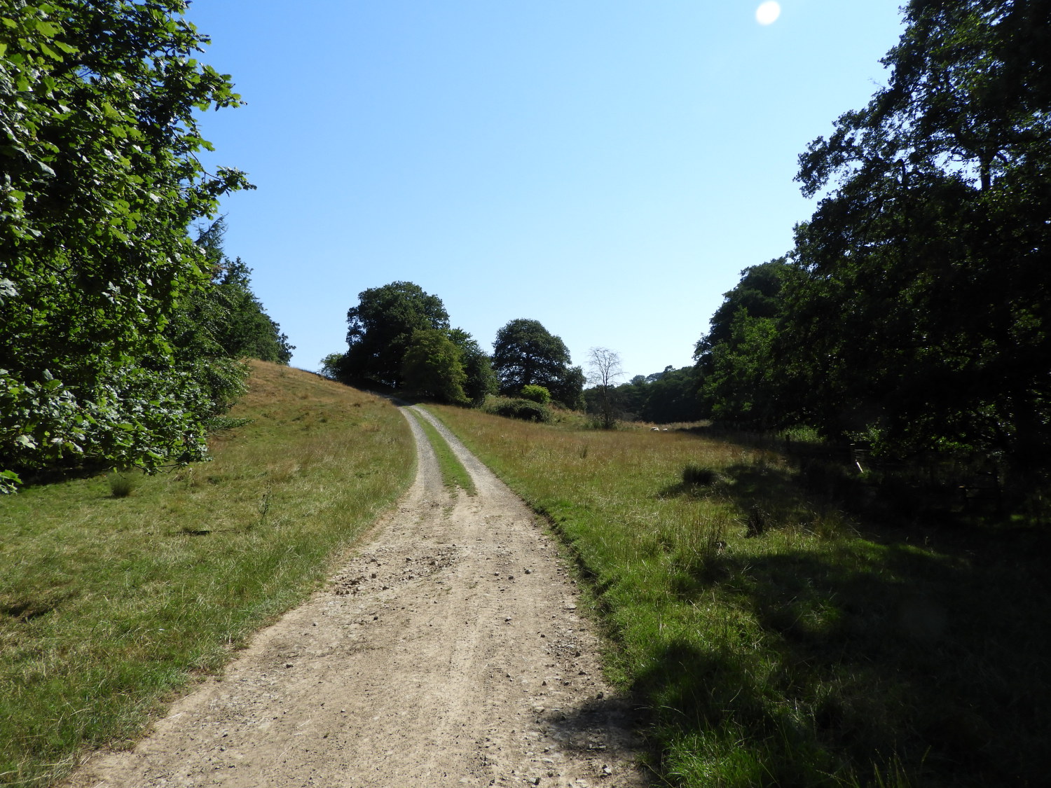 The path leading to Fountains Abbey