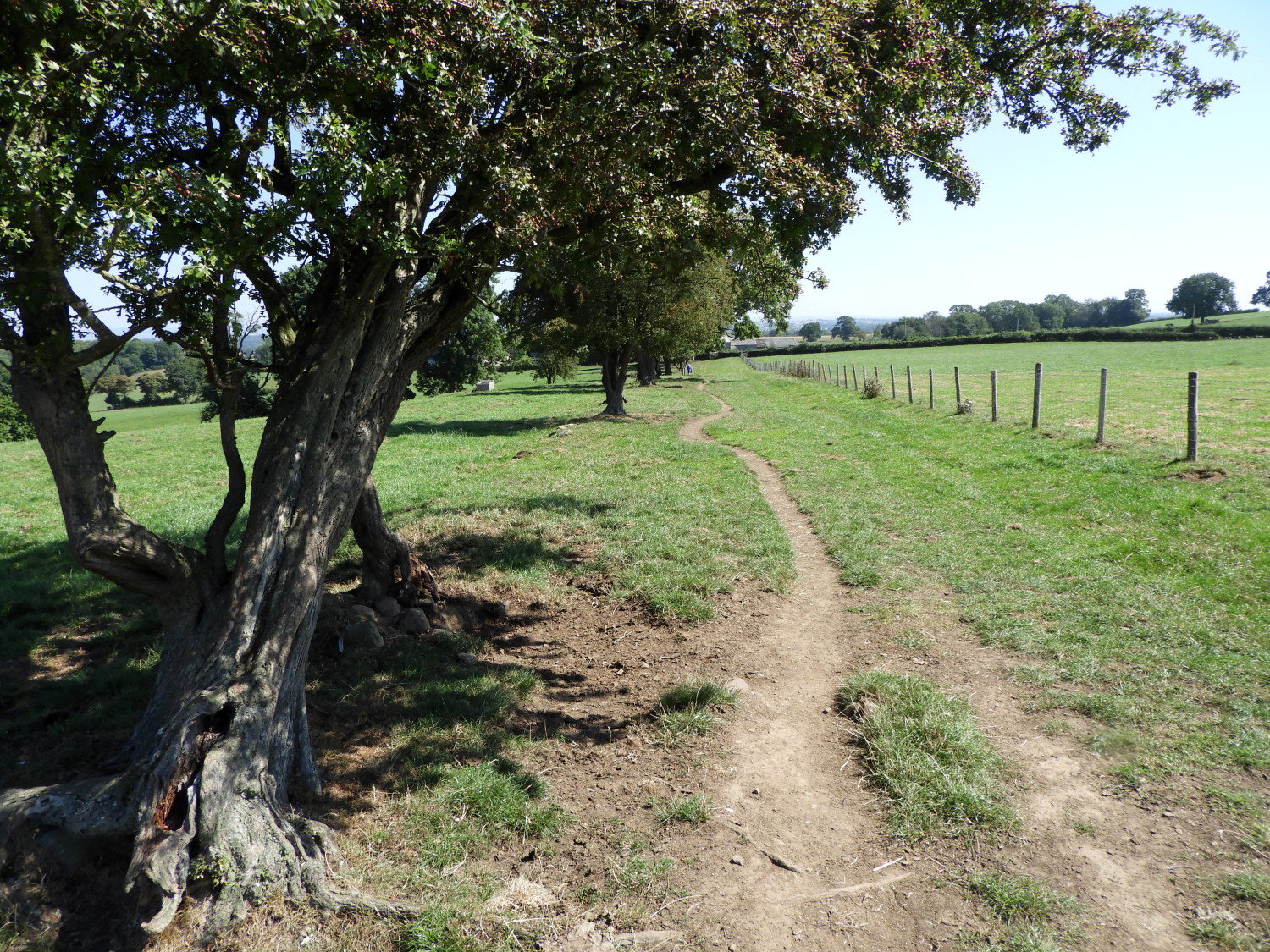 The path leading from Hum Hill