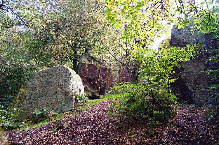 Rocks near Yorkgate Quarry