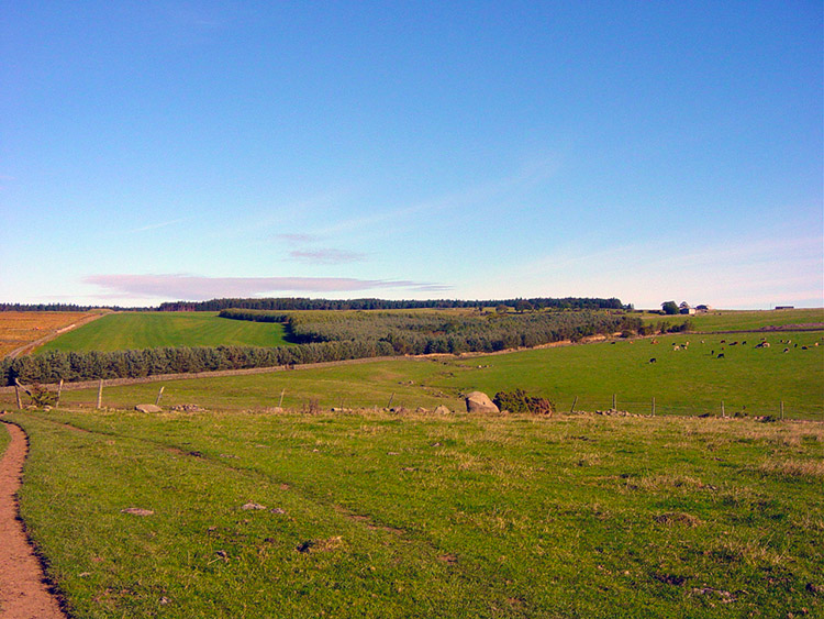 Crossing Lindley Moor towards Little Alms Cliff