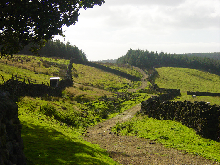 The track from Doubler Stones to High Moor