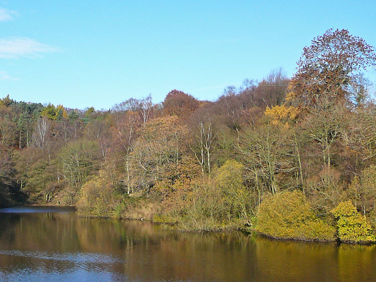 Sunny Dale Reservoir