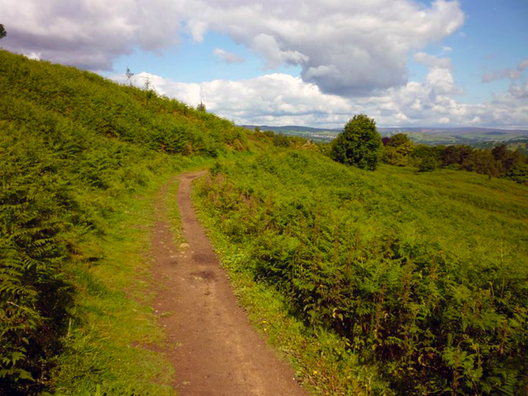 The path from the moor back towards Ilkley