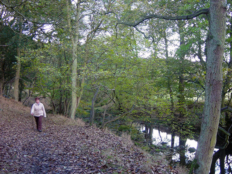 Beside the River Washburn