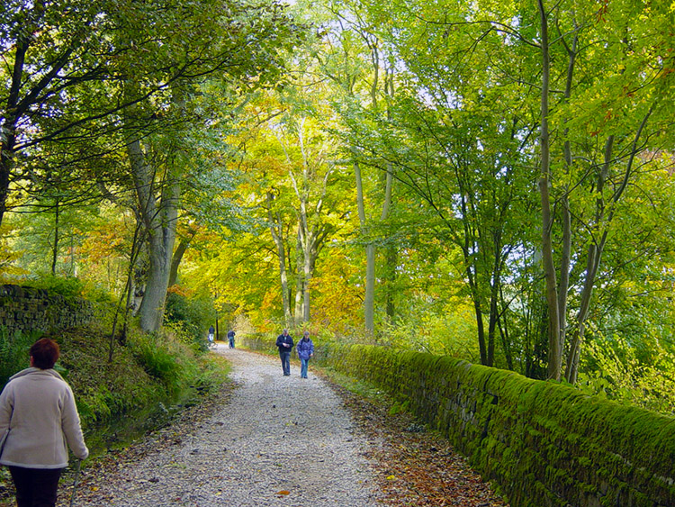 Lil ambles on the path near Swinsty Hall