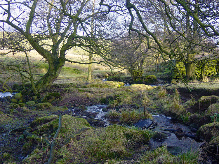 Capelshaw Beck