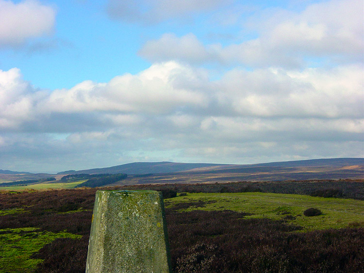 Trig pillar on Shooting House Hill