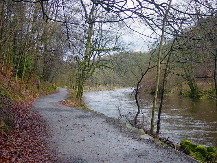 Setting off into Strid Wood