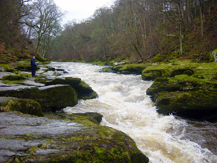 The Strid