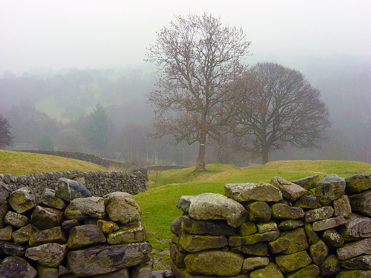 Nidderdale Way to Brimham Rocks