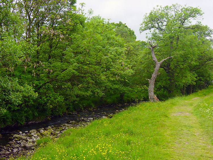 Nidderdale Way to Pateley Bridge