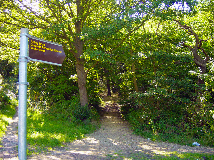 Start with a walk through Hawksworth Wood