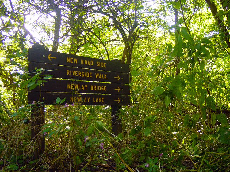 Riverside walk to Newlay Bridge