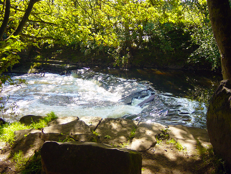 River Aire