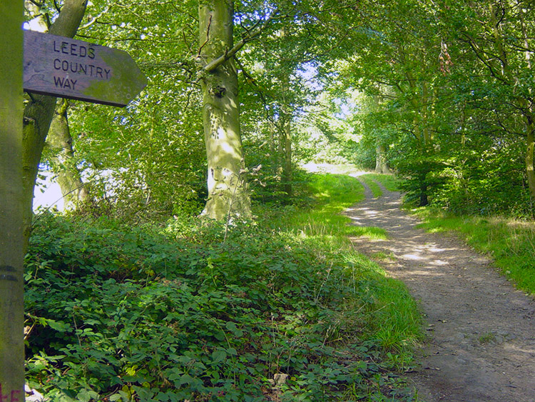 Leeds Country Way at Owl Bridge