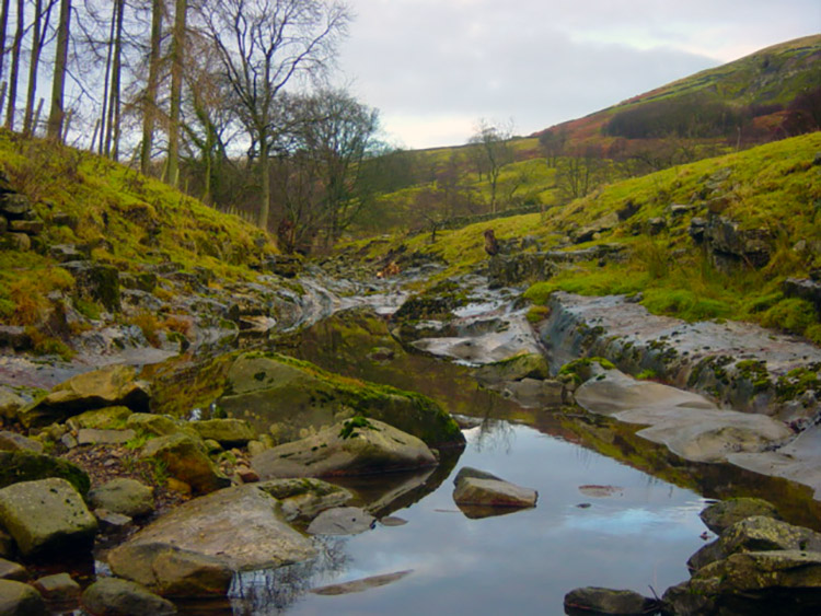 The River Nidd near Thorpe Farm