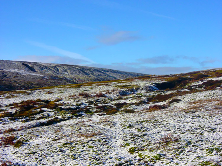 Woogill Moor