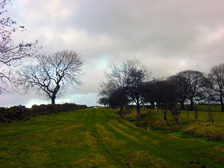 The path near Buttoner House Farm