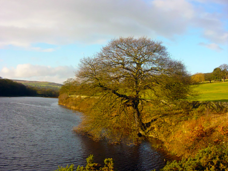 Winter sunshine at Lindley Wood Reservoir