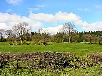 On the path from Markington near Ingerthorpe