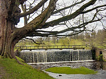 Studley Royal Park Lake