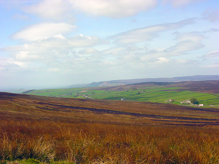 Blubberhouses Moor