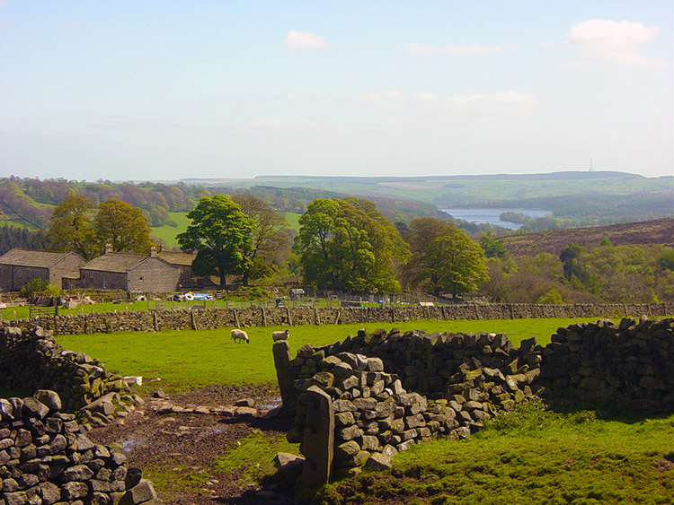 Farmland on Kex Gill Moor