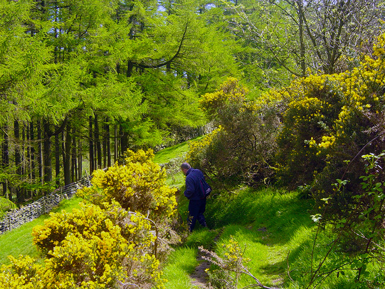 Descending to the Washburn Valley