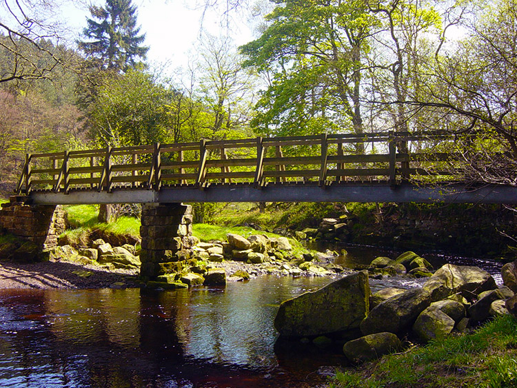 Footbridge over the River Washburn