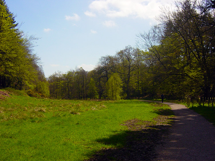 Gorgeous scenery near Limekiln Plantation