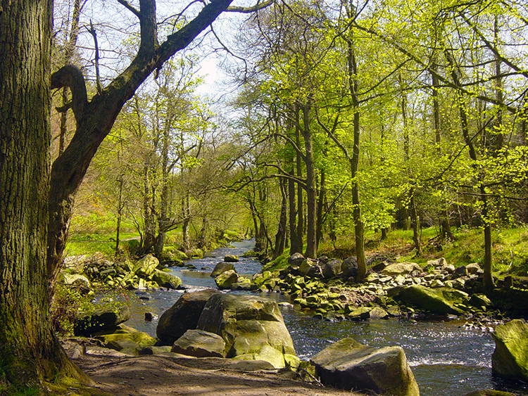 River Washburn