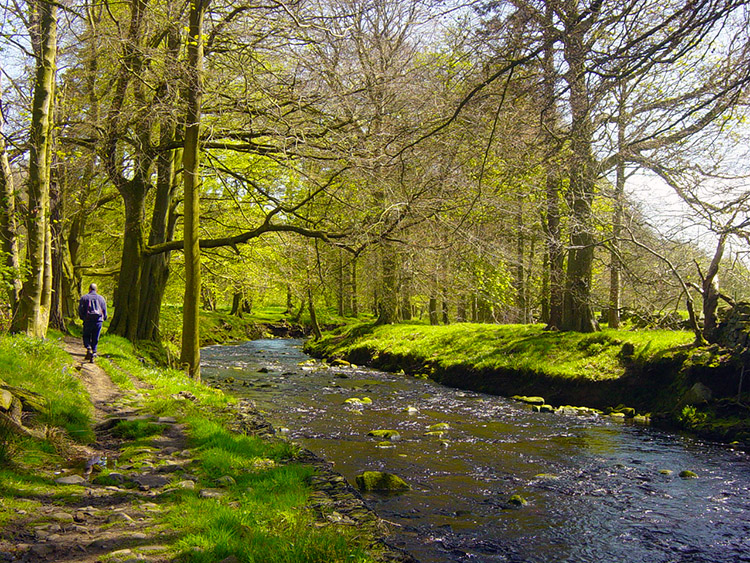 Following the River Washburn to Blubberhouses