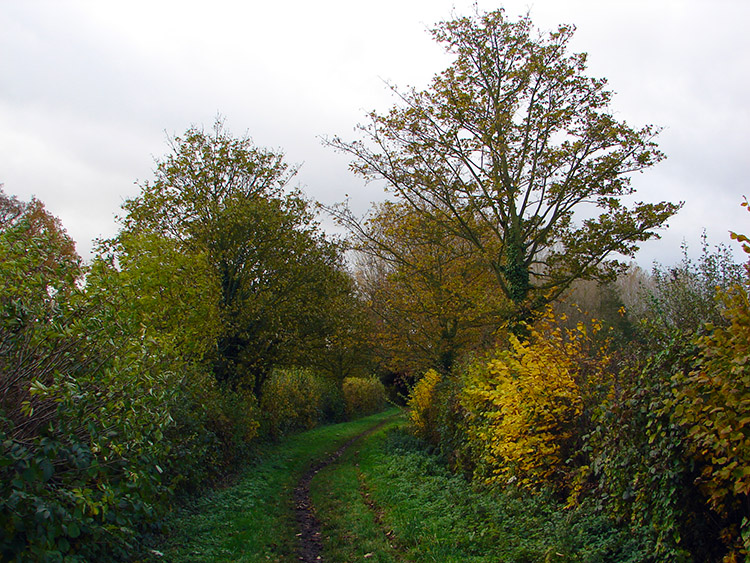 Following the leafy bridleway to Horse Pond Beck
