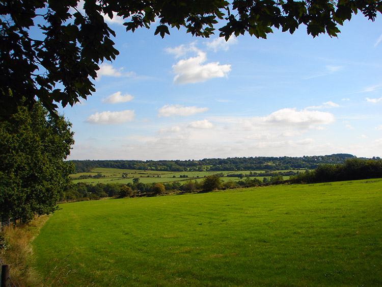 Into sunshine and greenery at Stone Rings