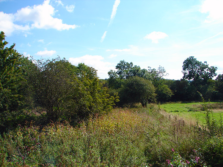 The walk near Almsford Bridge towards Pannal