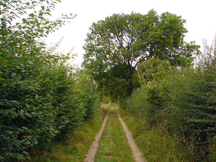 Harrogate Ringway Grange Farm