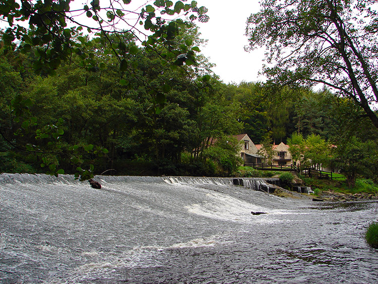 Scotton Mill Weir River Nidd Gorge