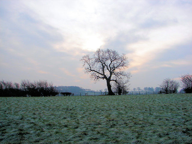 Rural Nidderdale near Brimham Lodge