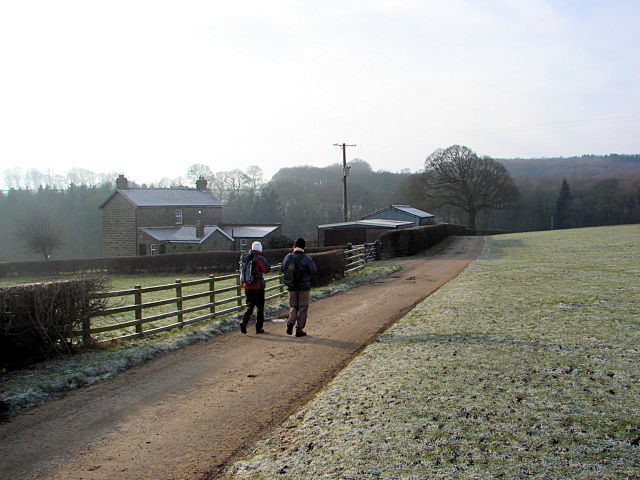 Ambling towards Spring House Wood