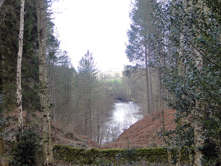 Ripon Rowel viewpoint on Limehouse Hill