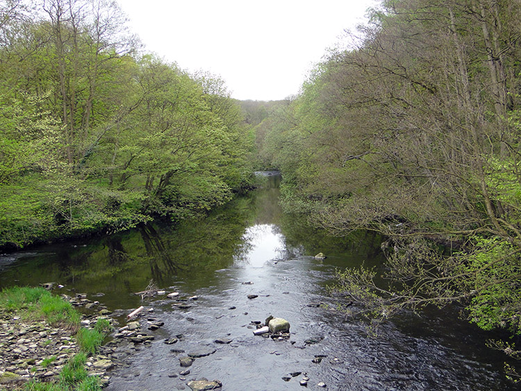 A river view from the bridge near Scotton Banks