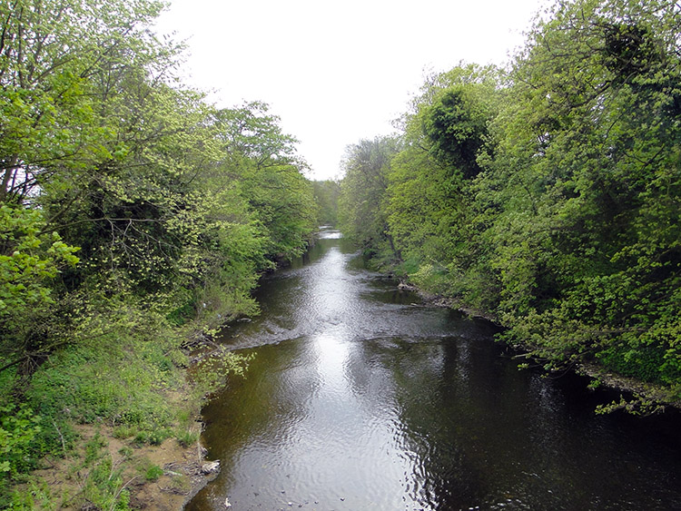 River Nidd near Goldsborough Mill Farm