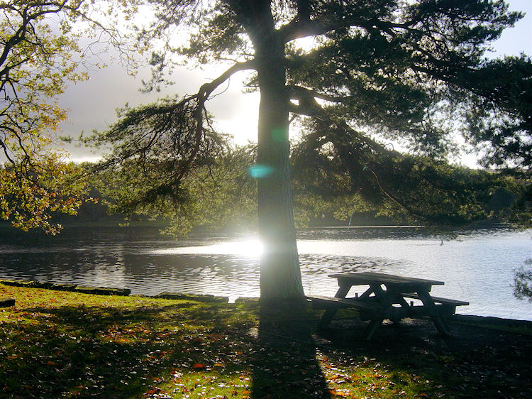 Swinsty Reservoir Picnic Area