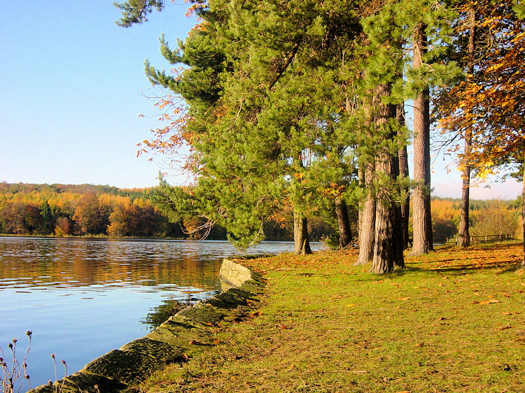 Beside the edge of Swinsty Reservoir